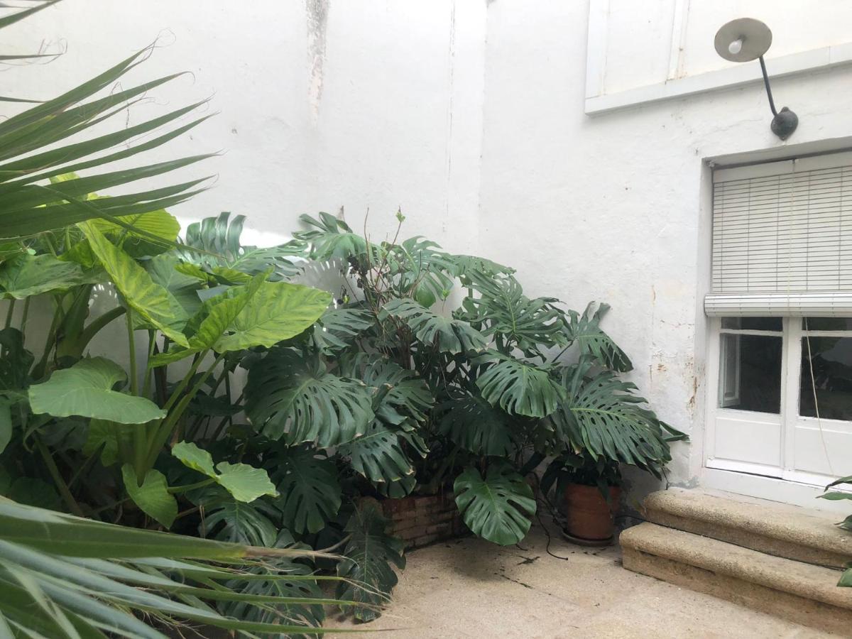 Apartamentos Tukasa Vintage Caces 외부 사진